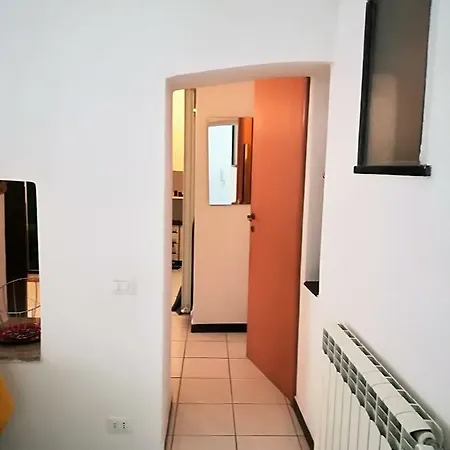 I Fiori Di Santo Stefano *
