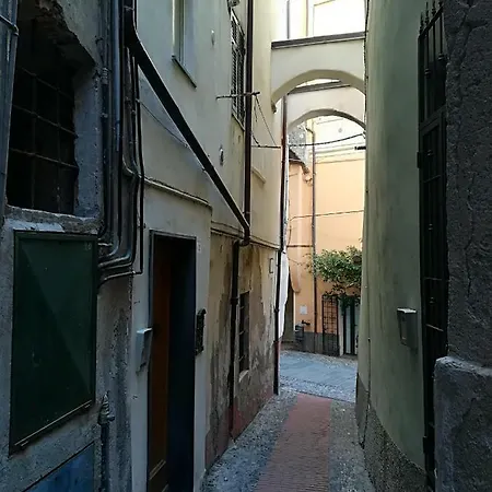I Fiori Di Santo Stefano *