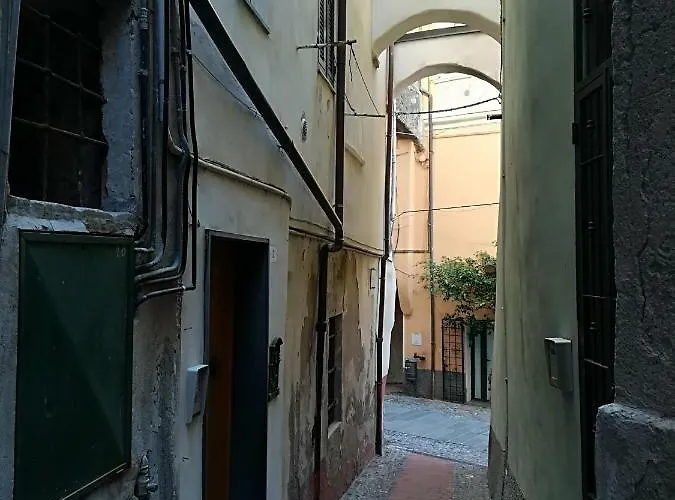 I Fiori Di Santo Stefano *